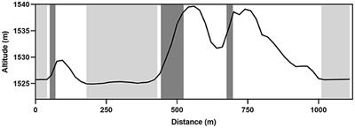 Comparisons of Macro-Kinematic Strategies During the Rounds of a Cross-Country Skiing Sprint Competition in Classic Technique